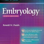 BRS Embryology 6th Edition PDF Free Download