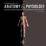 Principles of Anatomy and Physiology 13 Edition PDF