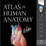 Netter Atlas of Human Anatomy A Systems Approach – 8th Edition PDF Download