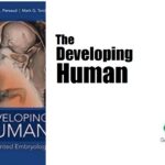 Download The Developing Human Clinically Oriented Embryology 8th Edition PDF Free