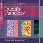 Lippincott’s Illustrated Q&A Review of Rubin’s Pathology 2nd Edition PDF