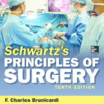 Schwartz’s Principles of Surgery 10th Edition PDF