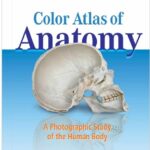 Color Atlas of Anatomy A Photographic Study of the Human Body Seventh Edition Download PDF