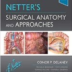 Netter’s Surgical Anatomy and Approaches 2nd Edition PDF