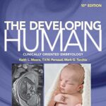 The Developing Human- Clinically Oriented Embryology 10th Edition Download PDF Free (Direct Links)