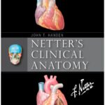 Netter’s Clinical Anatomy 4th Edition PDF