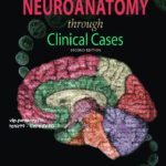 The Best Brief of Clinical cases and skills For Neurology PDF