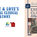 Download Bailey & Love’s Essential Clinical Anatomy – 1st edition PDF Free