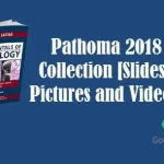 Download Pathoma 2023 Collection [Slides and Pictures] PDF Free [Direct Link]