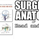 Download Surgical Anatomy of the Head and Neck 1st Edition PDF Free