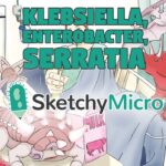 Sketchy Medical Videos 2017 Pathology Complete Online