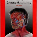 Review of Gross Anatomy 6th Edition PDF