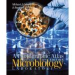 Download A Photographic Atlas for the Microbiology Laboratory 4th Edition PDF Free