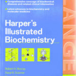 Download Harper’s Illustrated Biochemistry (LANGE Basic Science) 26th Edition PDF Free