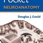 Lippincott’s Pocket Neuroanatomy PDF Free