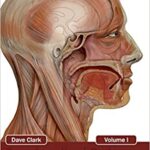 Download Encyclopedia of Oral and Maxillofacial Surgery Volume I 1st Edition PDF