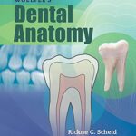 Woelfels Dental Anatomy 9th Edition PDF