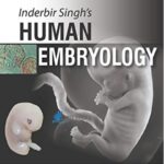 Human Embryology Inderbir Singh 11th Edition PDF