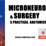 Microneuroanatomy and Surgery: A Practical Anatomical Guide PDF Free Download