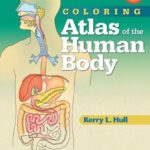 Coloring Atlas of the Human Body PDF