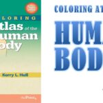 Coloring Atlas of the Human Body PDF Free Download [Direct Link]